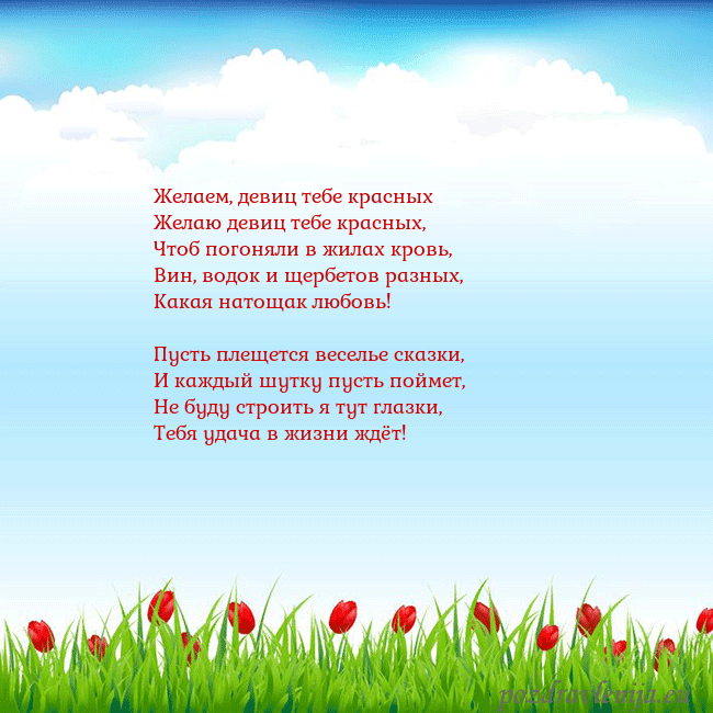 Открытка с тюльпанами