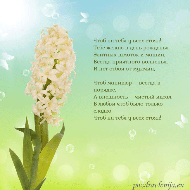 Открытка с гиацинтом