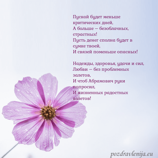 Электронная открытка с фиолетовым цветком