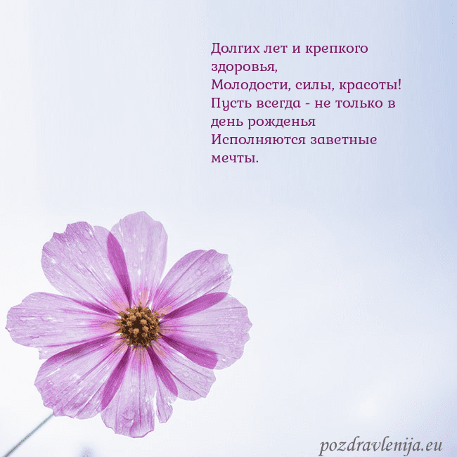 Электронная открытка с фиолетовым цветком