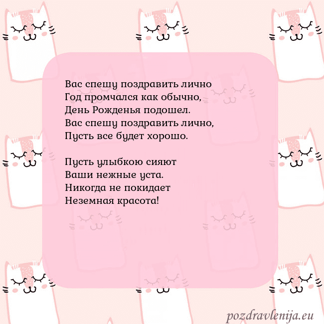 Розовая открытка с забавными кошками