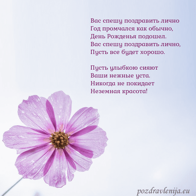 Электронная открытка с фиолетовым цветком