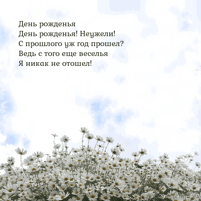 Открытка с ромашками