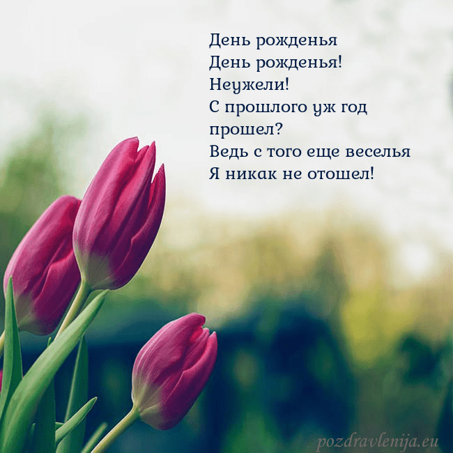 Открытка с тремя красными тюльпанами