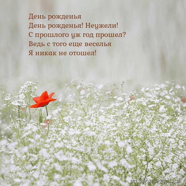 Электронная открытка с белыми цветами