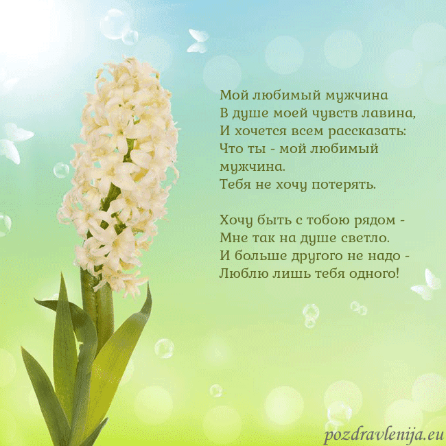 Открытка с гиацинтом Мой любимый мужчина
В душе моей чувств лавина,
И х Открытка с гиацинтом
