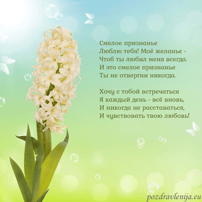 Открытка с гиацинтом Смелое признанье
Люблю тебя! Моё желанье -
Чтоб ты Открытка с гиацинтом