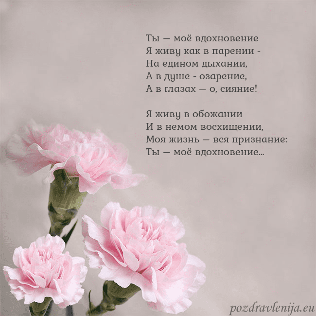 Открытка с розовыми гвоздиками Ты – моё вдохновение
Я живу как в парении -
На еди Открытка с розовыми гвоздиками