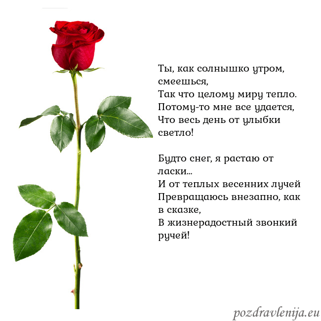 Открытка с красной розой Ты, как солнышко утром, смеешься,
Так что целому м Открытка с красной розой