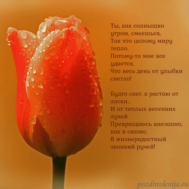 Открытка с красным тюльпаном Ты, как солнышко утром, смеешься,
Так что целому м Открытка с красным тюльпаном