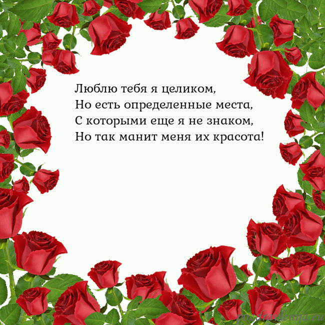 Открытка с красными розами Люблю тебя я целиком,
Но есть определенные места,
Открытка с красными розами