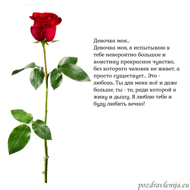 Открытка с красной розой Девочка моя...
Девочка моя, я испытываю к тебе нев Открытка с красной розой