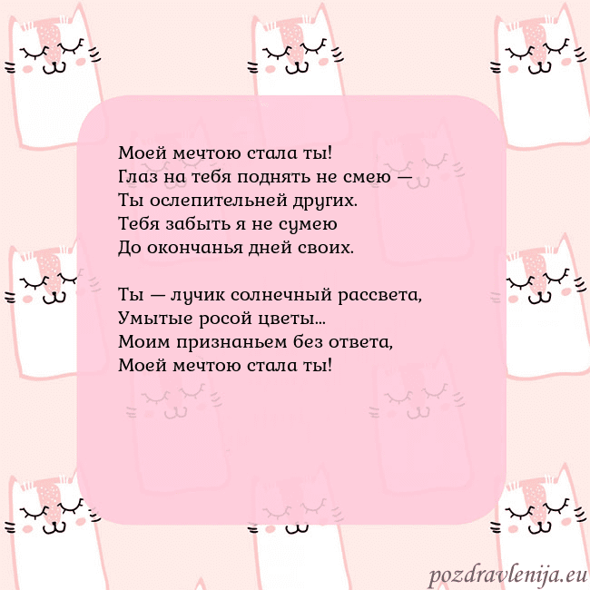 Розовая открытка с забавными кошками Моей мечтою стала ты!
Глаз на тебя поднять не смею Розовая открытка с забавными кошками