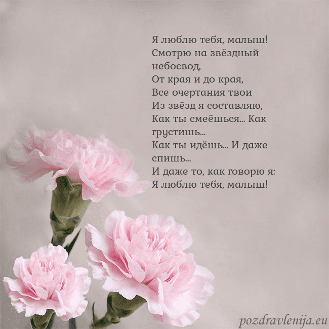 Открытка с розовыми гвоздиками Я люблю тебя, малыш!
Смотрю на звёздный небосвод,
Открытка с розовыми гвоздиками