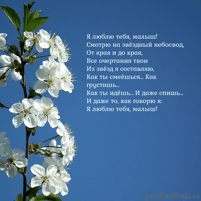 Открытка с весенними цветами Я люблю тебя, малыш!
Смотрю на звёздный небосвод,
Открытка с весенними цветами