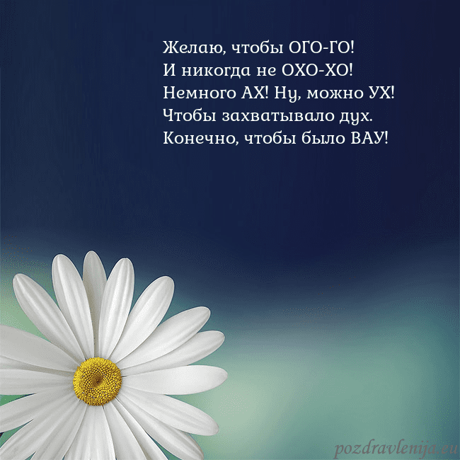 Открытка с большой ромашкой