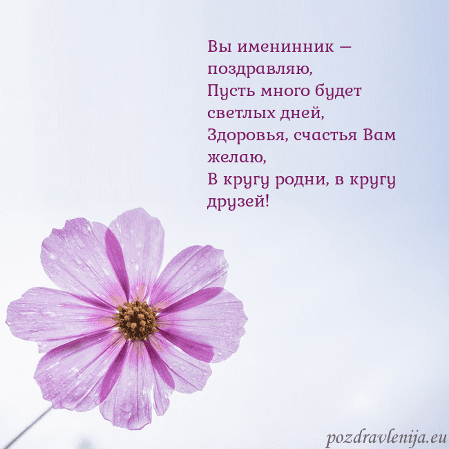 Электронная открытка с фиолетовым цветком