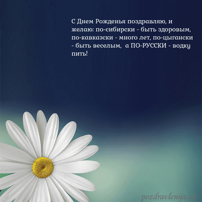 Открытка с большой ромашкой