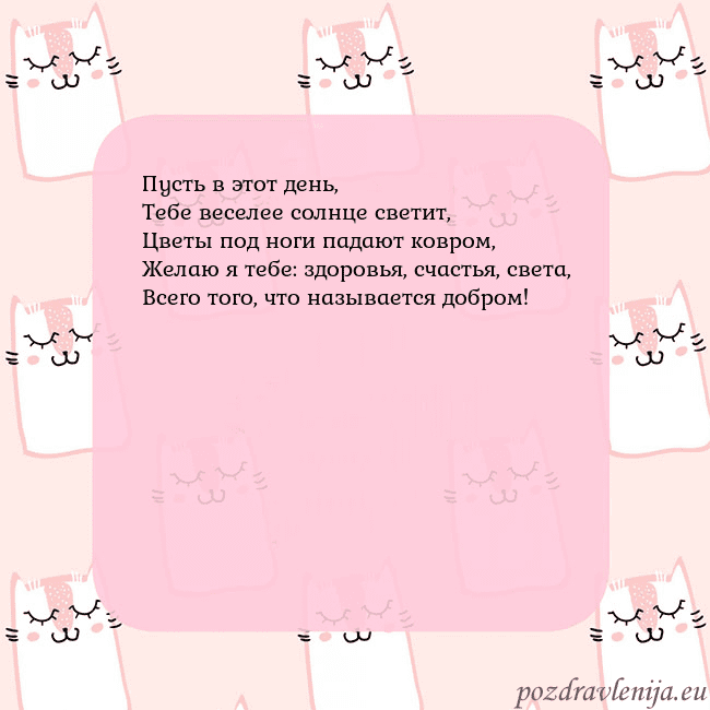 Розовая открытка с забавными кошками