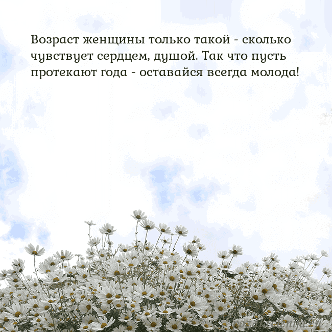 Открытка с ромашками