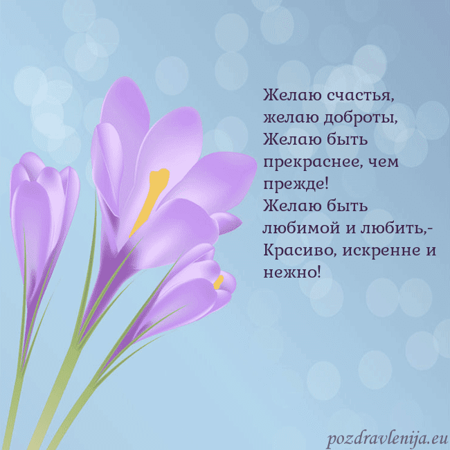 Открытка с крокусом