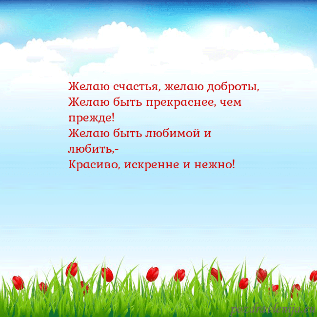 Открытка с тюльпанами