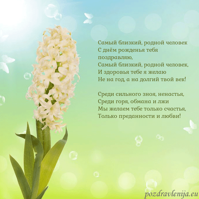 Открытка с гиацинтом