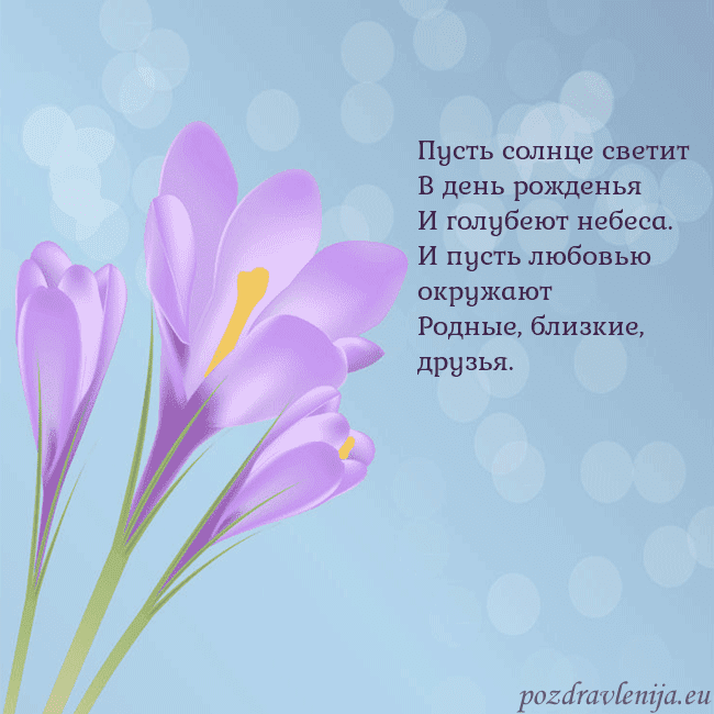 Открытка с крокусом