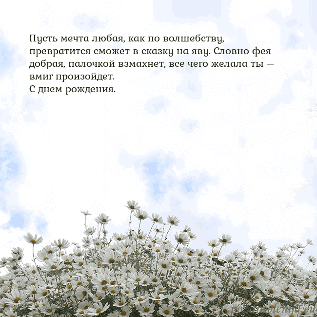 Открытка с ромашками