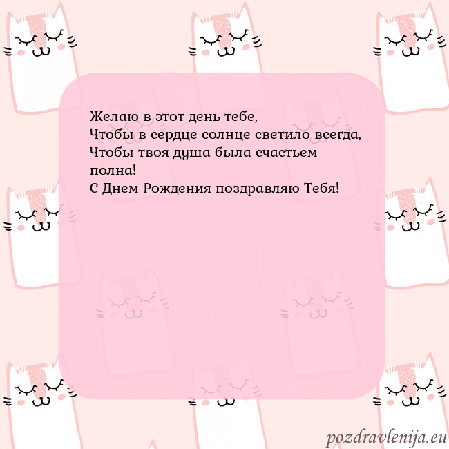 Розовая открытка с забавными кошками