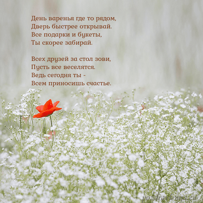 Электронная открытка с белыми цветами