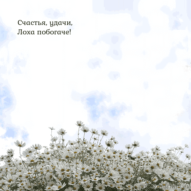 Открытка с ромашками