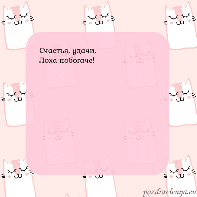 Розовая открытка с забавными кошками