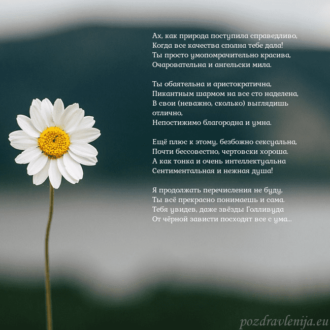 Электронная открытка с ромашкой Ах, как природа поступила справедливо,
Когда все к Электронная открытка с ромашкой