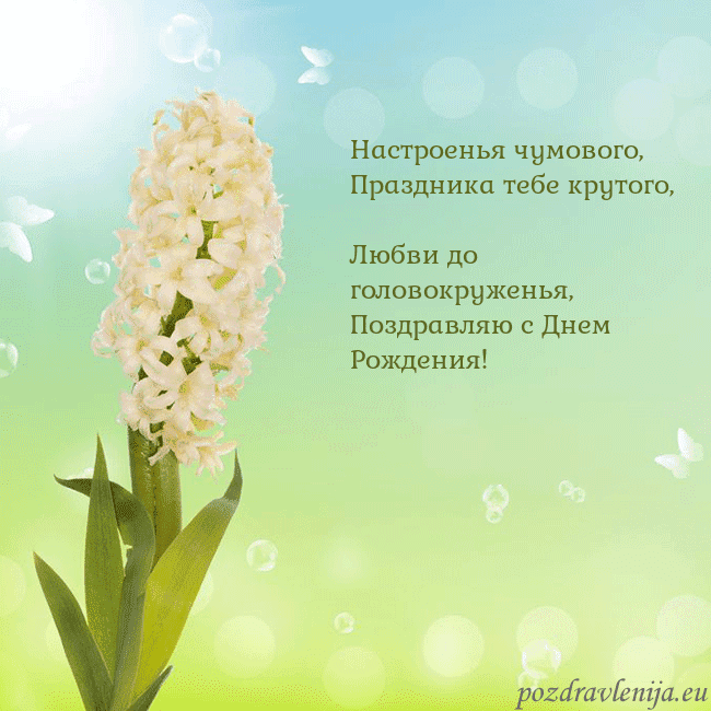 Открытка с гиацинтом