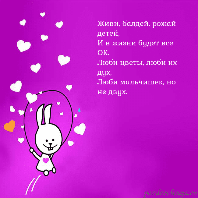 Открытка с забавным зайчиком