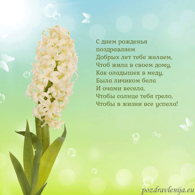 Открытка с гиацинтом