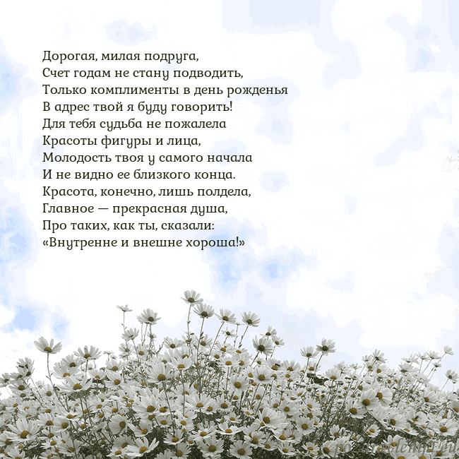 Открытка с ромашками