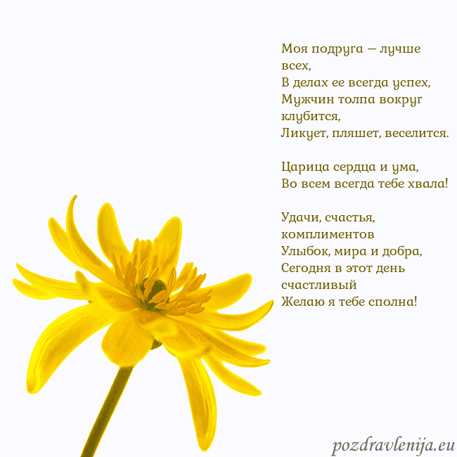 Открытка с желтым цветком