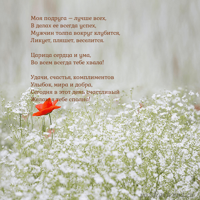 Электронная открытка с белыми цветами