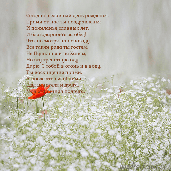 Электронная открытка с белыми цветами