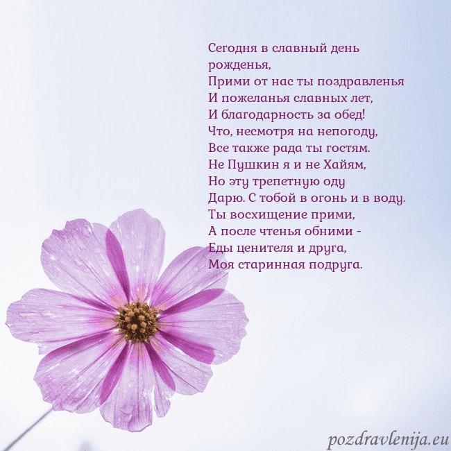 Электронная открытка с фиолетовым цветком