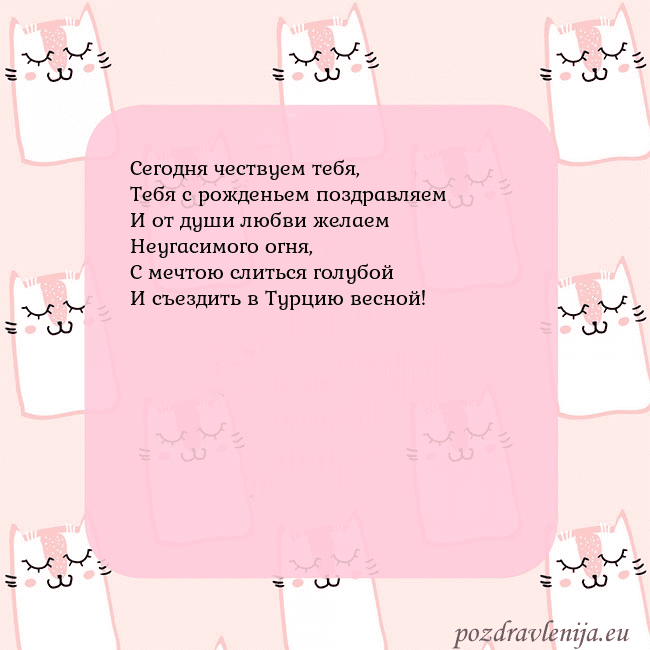 Розовая открытка с забавными кошками