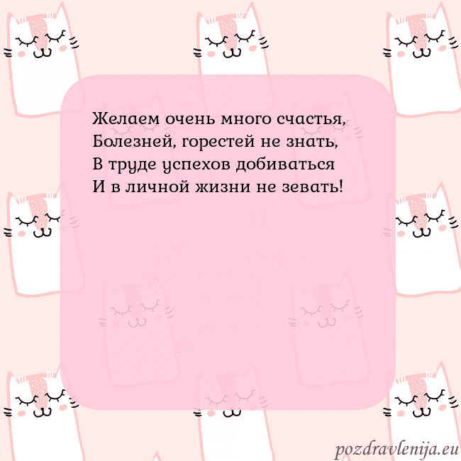 Розовая открытка с забавными кошками