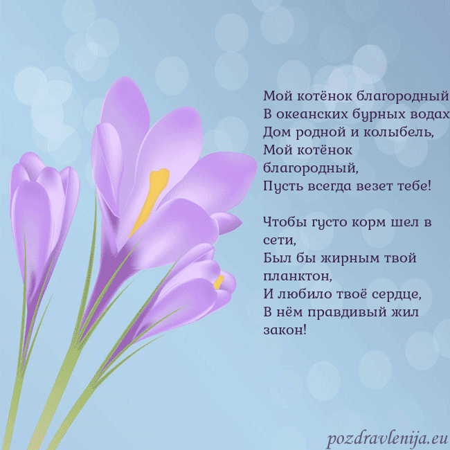 Открытка с крокусом