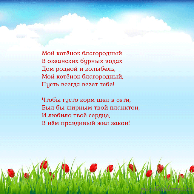 Открытка с тюльпанами