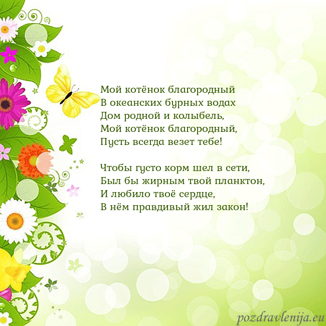 Открытка с разноцветными цветами и бабочками