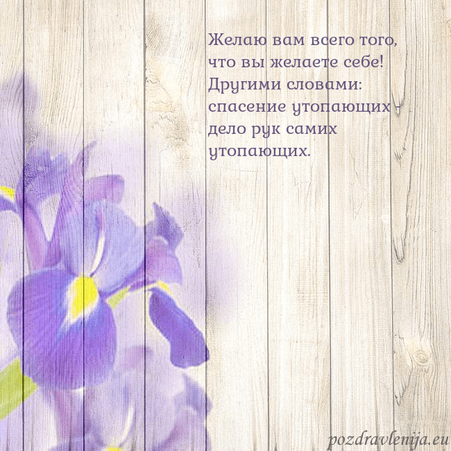 Открытка с ирисами