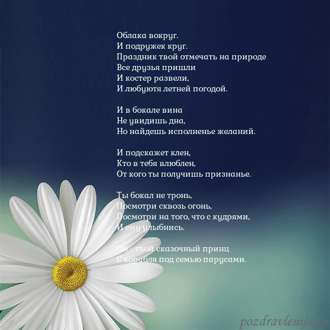 Открытка с большой ромашкой