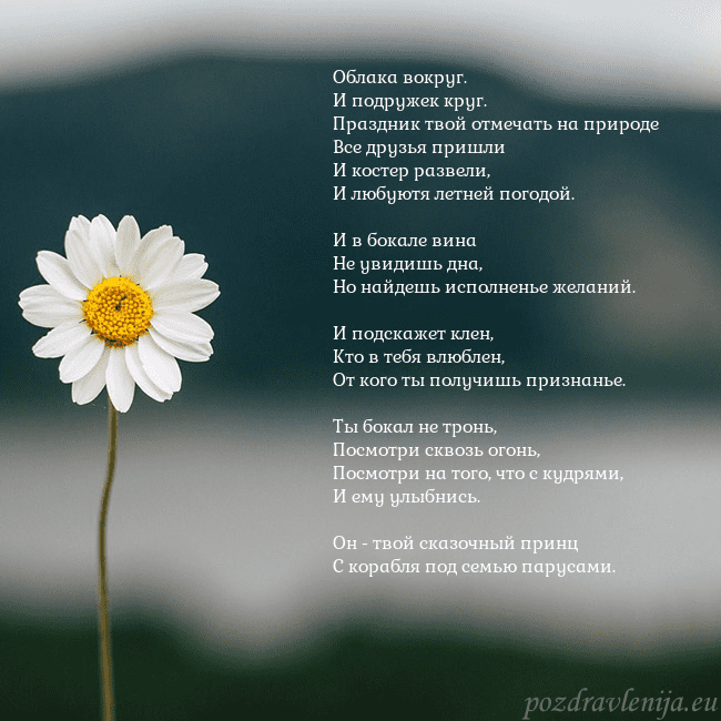Электронная открытка с ромашкой